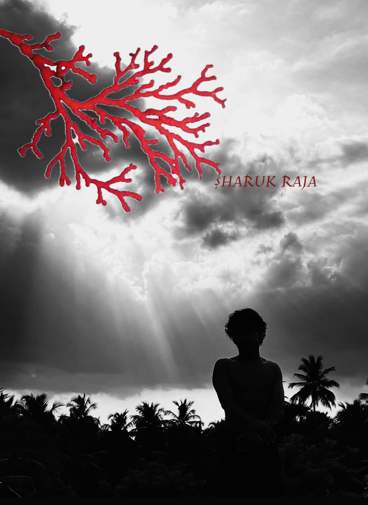 Silhouette under storm clouds with red branch